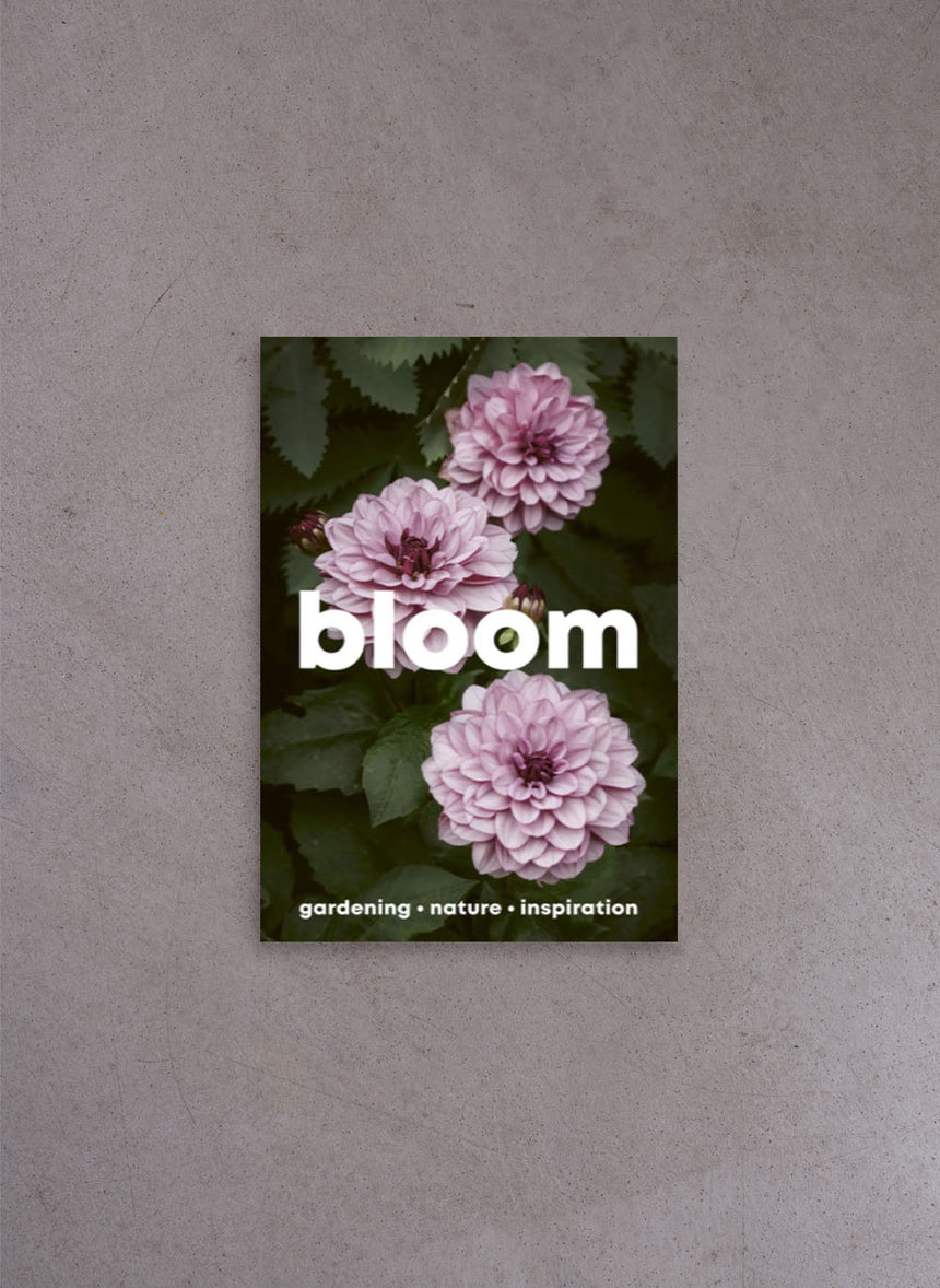Bloom Magazine – Issue #16
