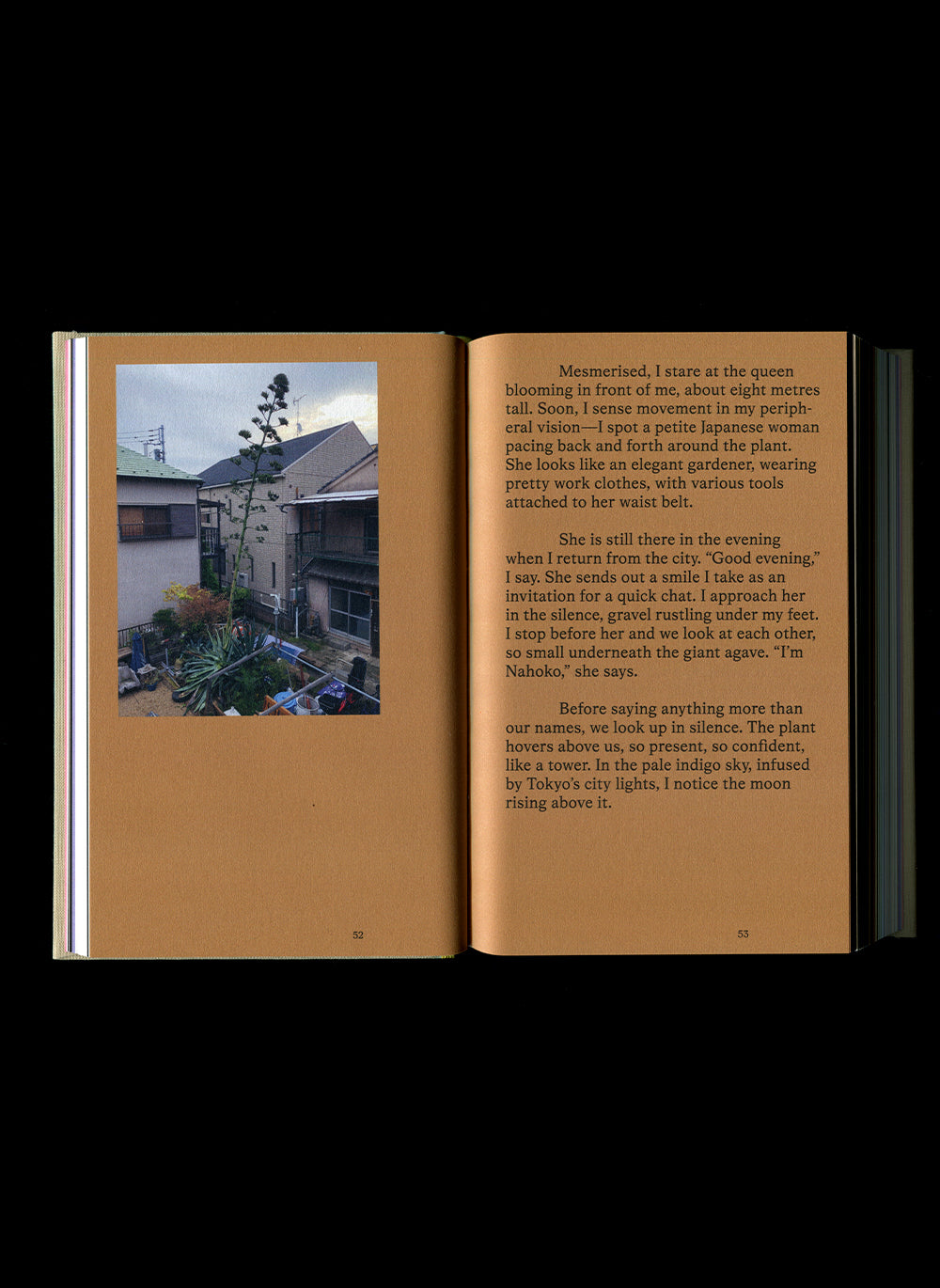 Catalogue of Endings