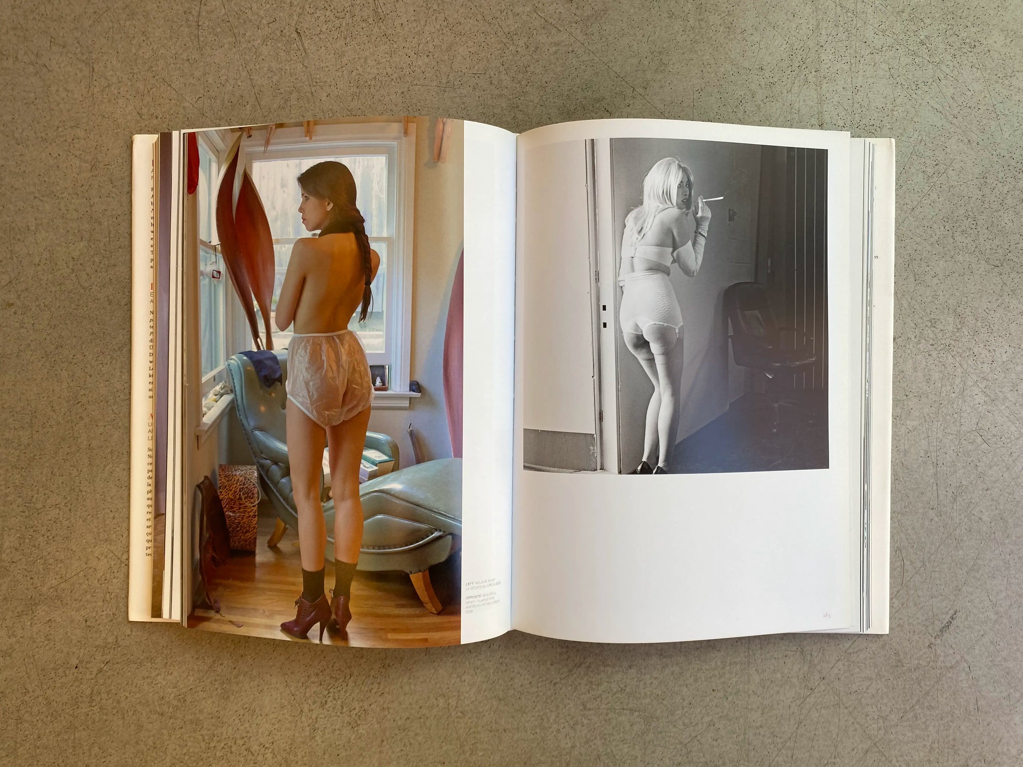 The New Erotic Photography 2 – Dian Hanson