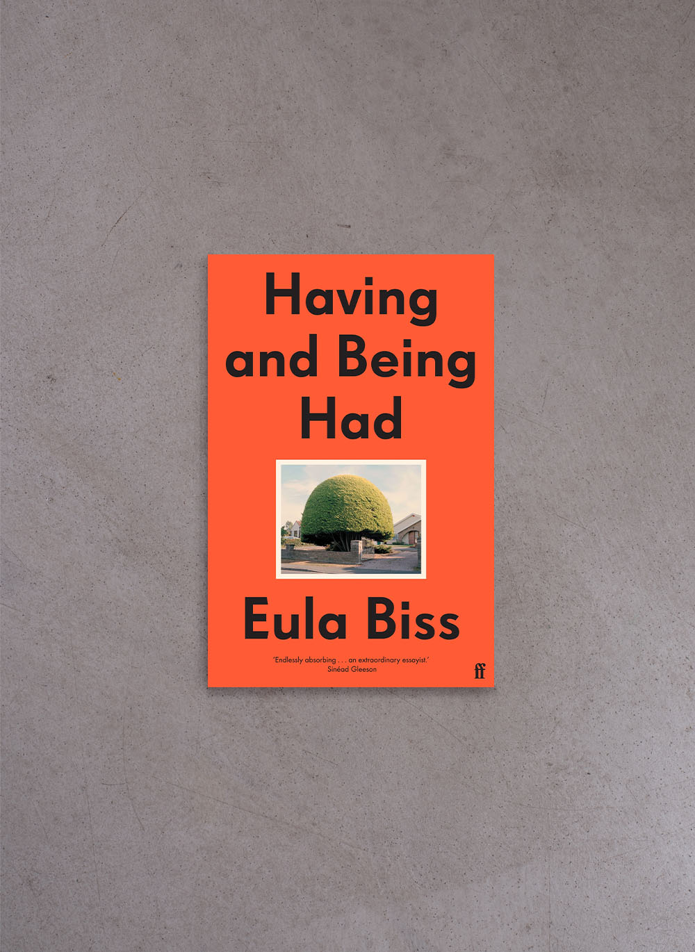 Having and Being Had – Eula Biss