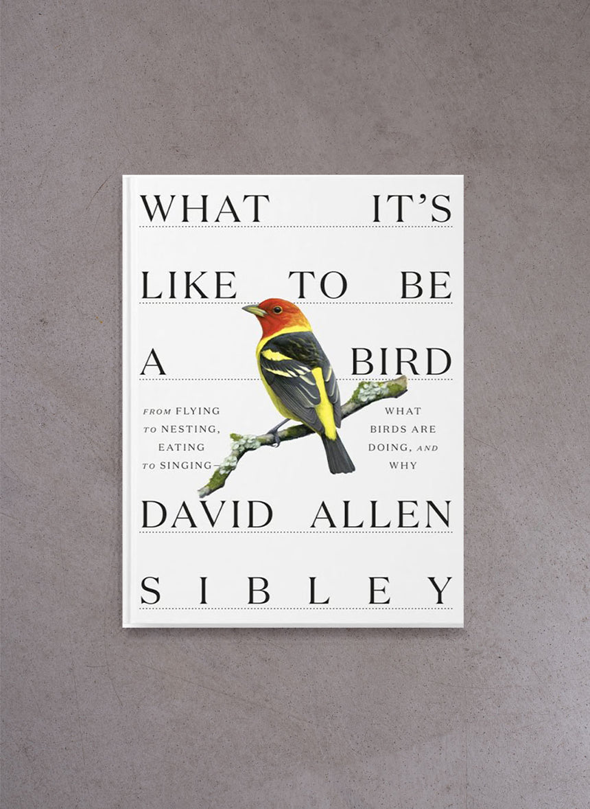 What It's Like to Be a Bird – David Allen Sibley