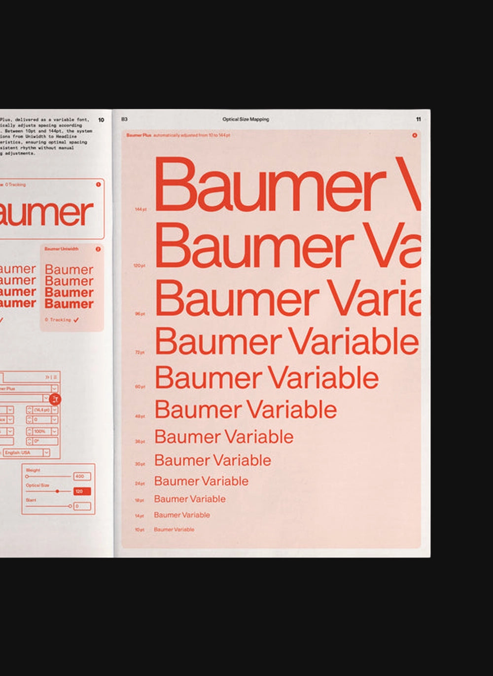 Baumer Specimen