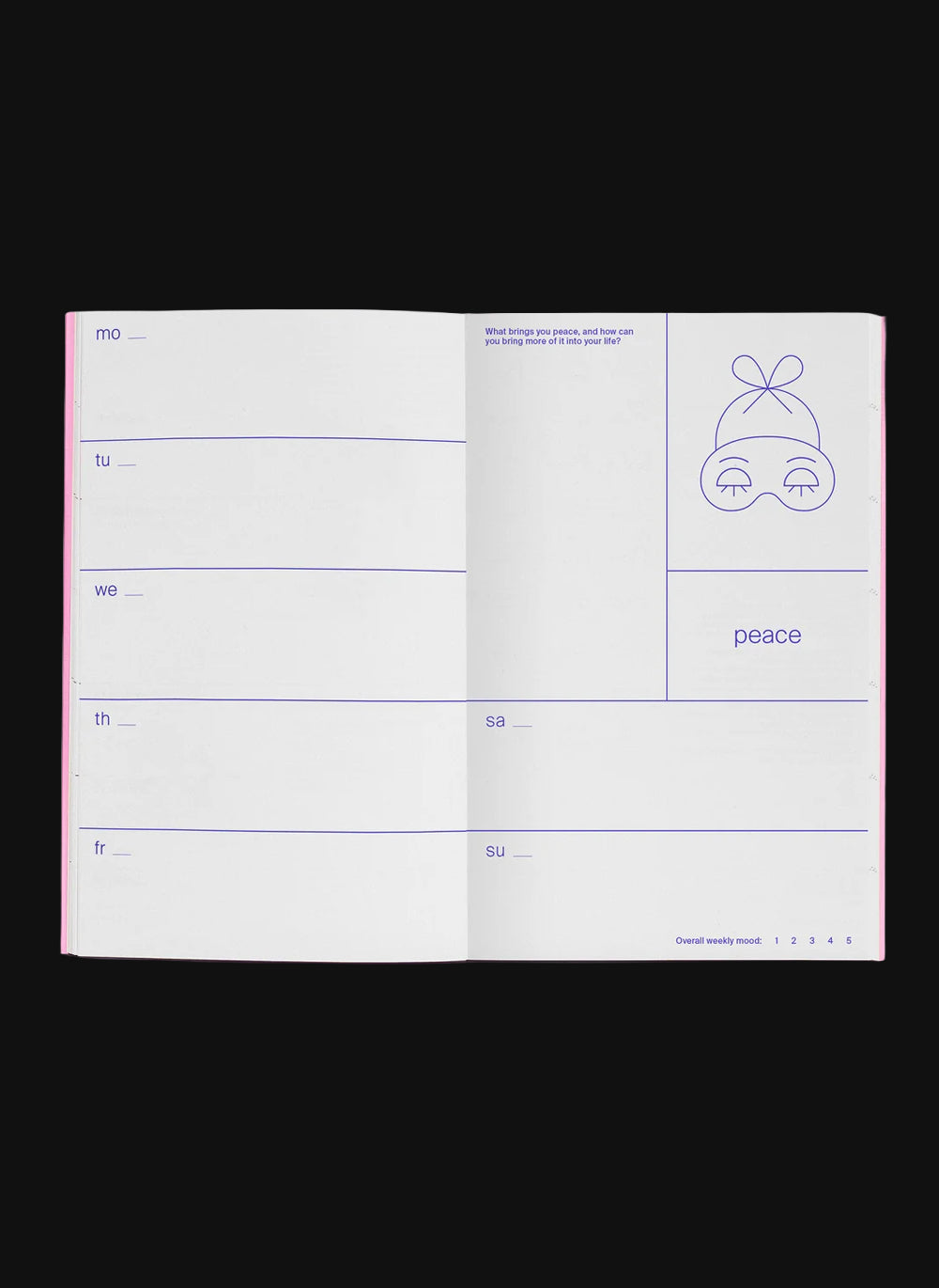 Julie Joliat Undated Planner Cannelle