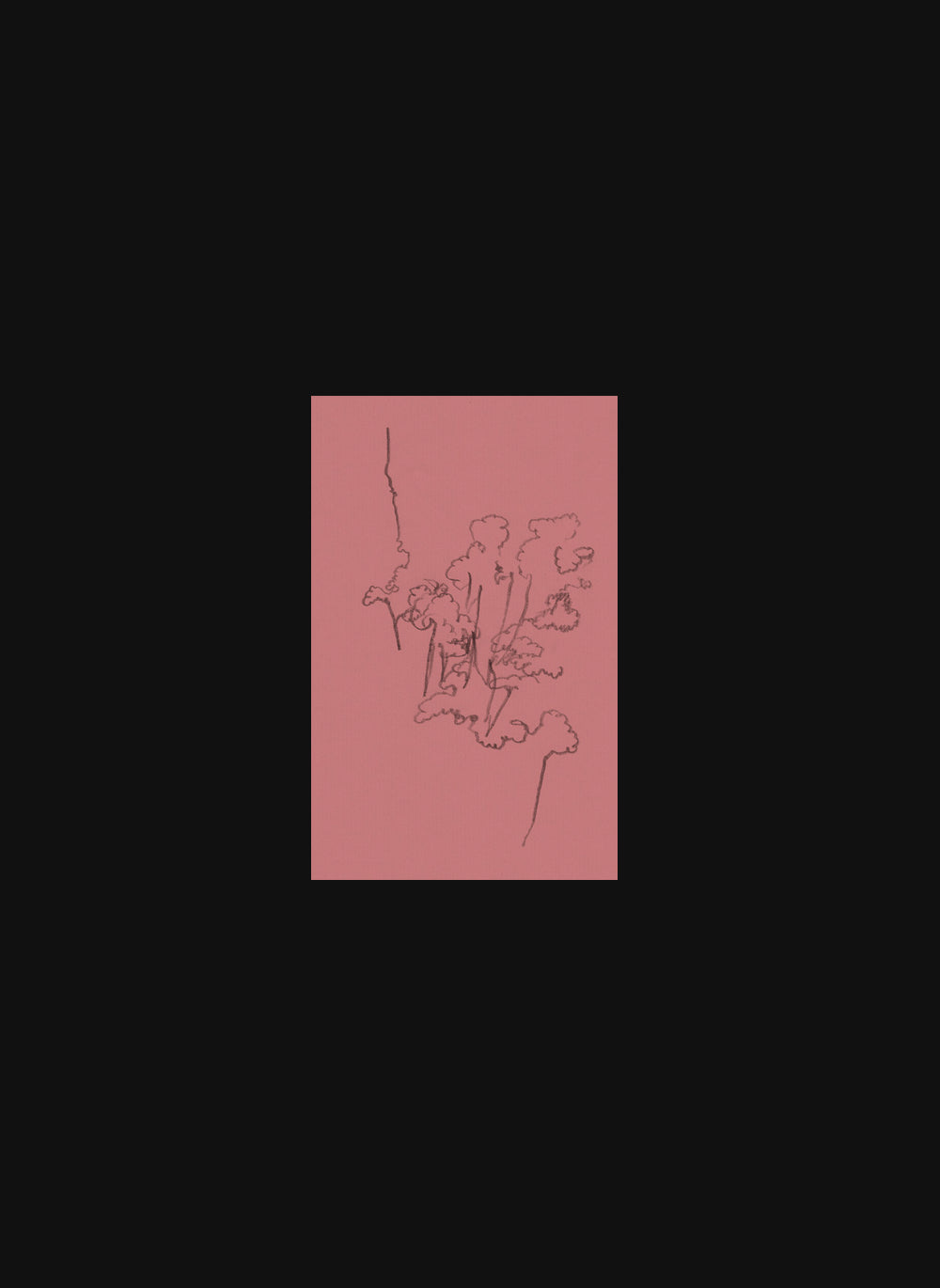 Isabell Gustafsson-Ny – Rosenhagtorn