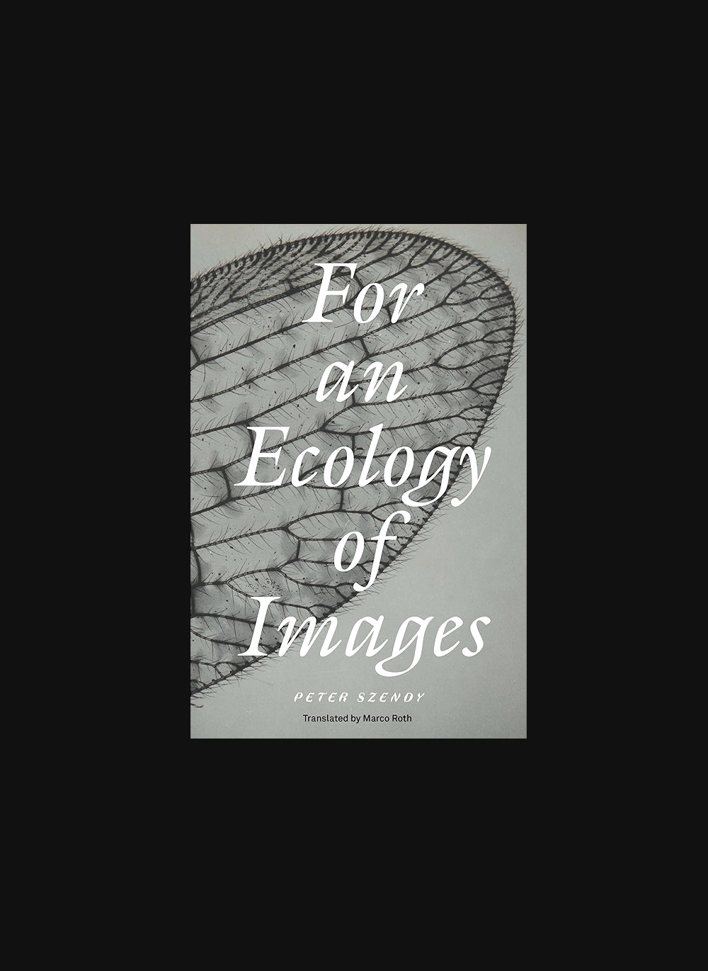 For an Ecology of Images