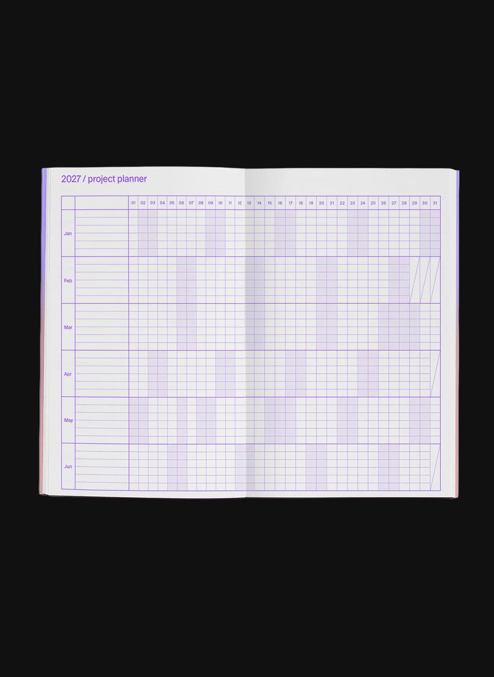 Julie Joliat Planner 2027 Shimmer