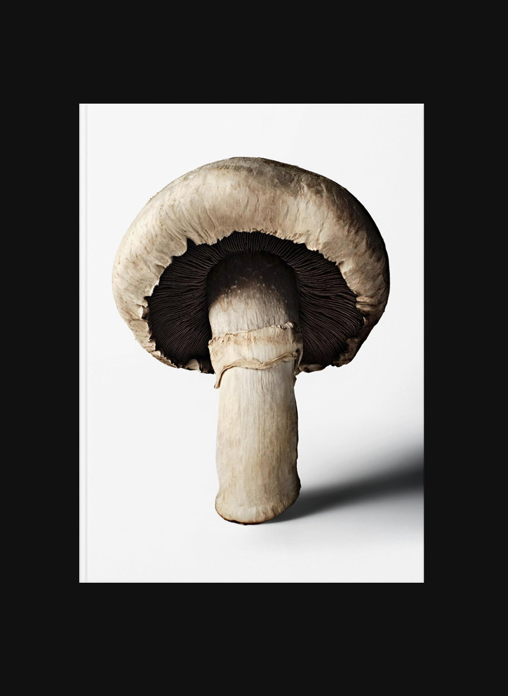 The Gourmands Mushroom