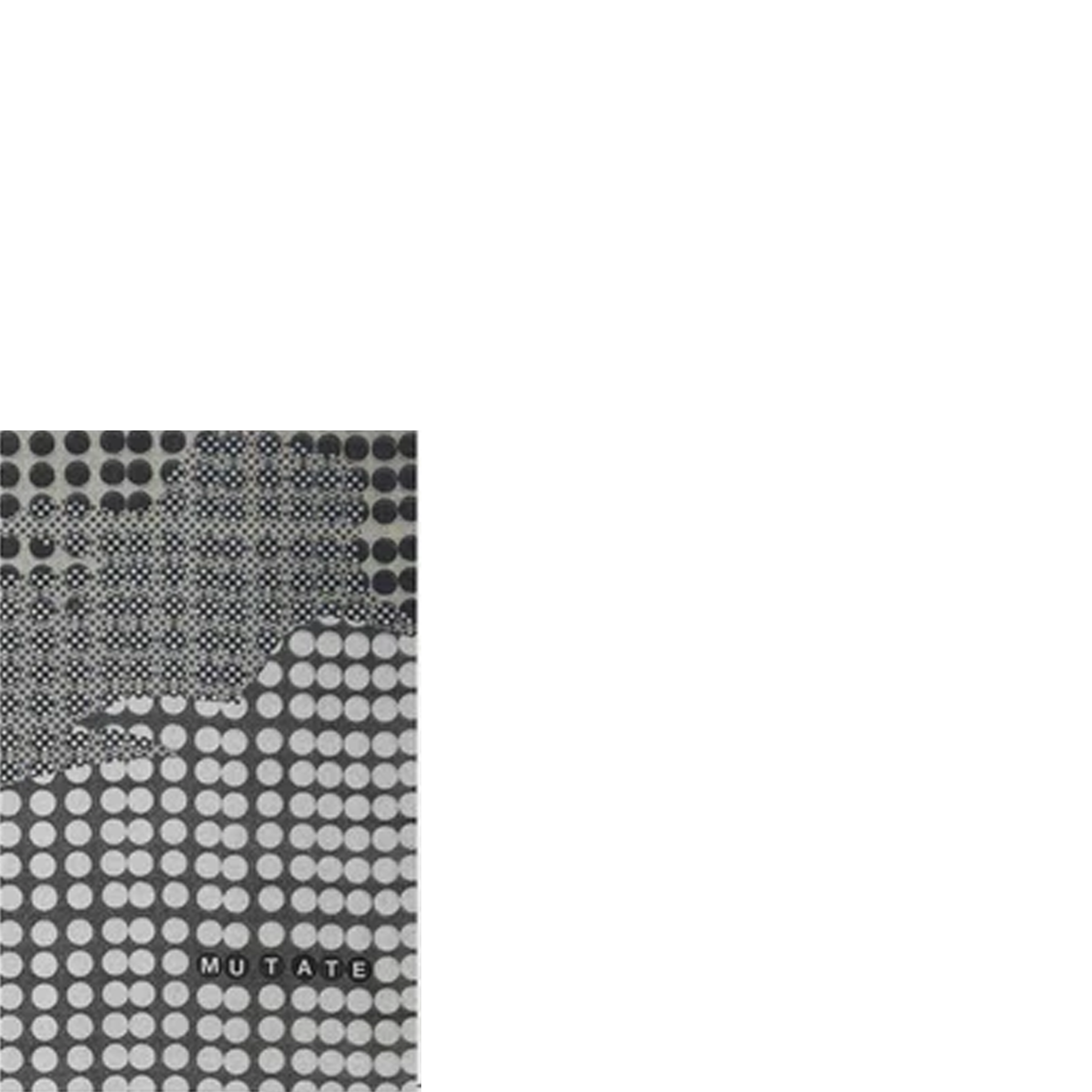 mu tate & Ani Zakareishvili – WW050 mixtape