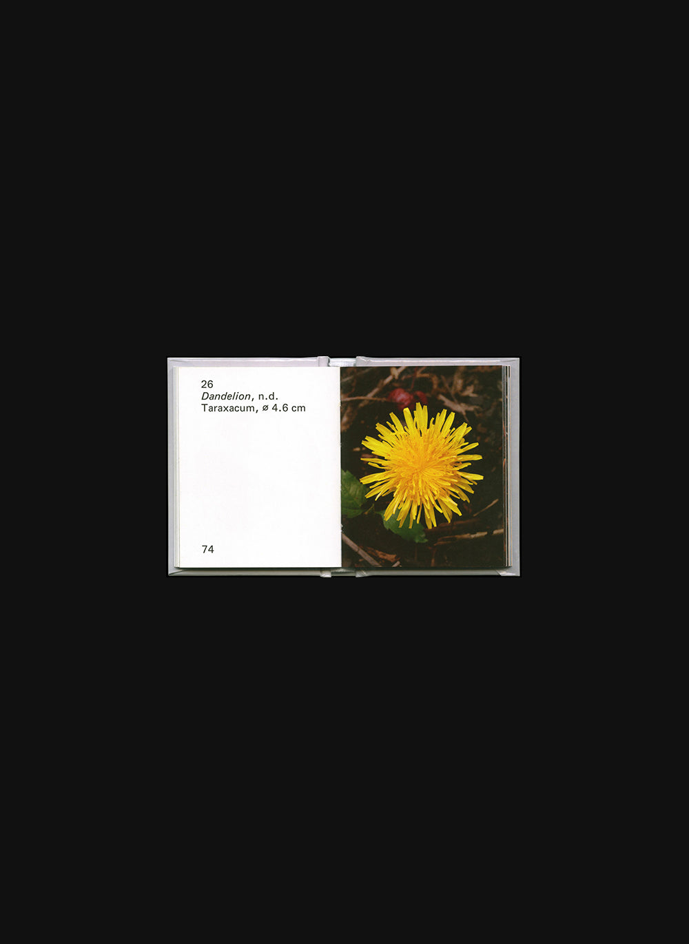 UN-11: A Typographic Cosmology
