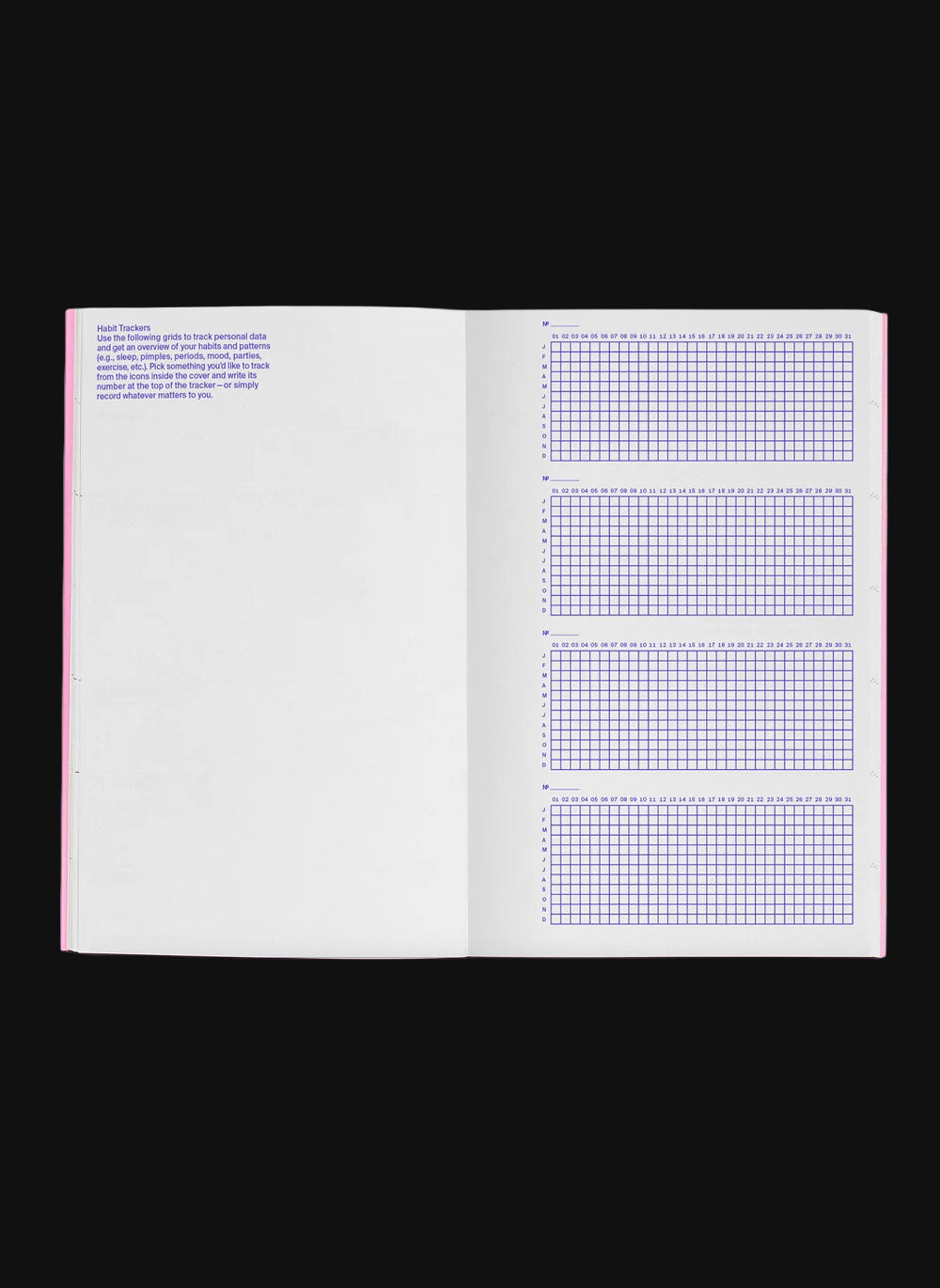 Julie Joliat Undated Planner Cannelle