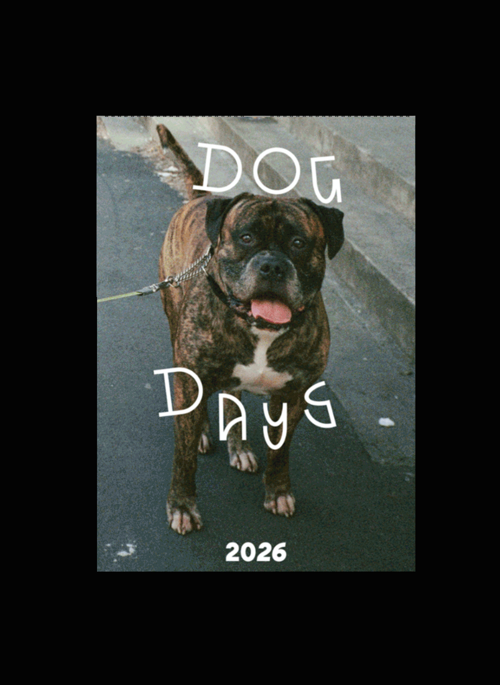 Dog Days calendar 2026