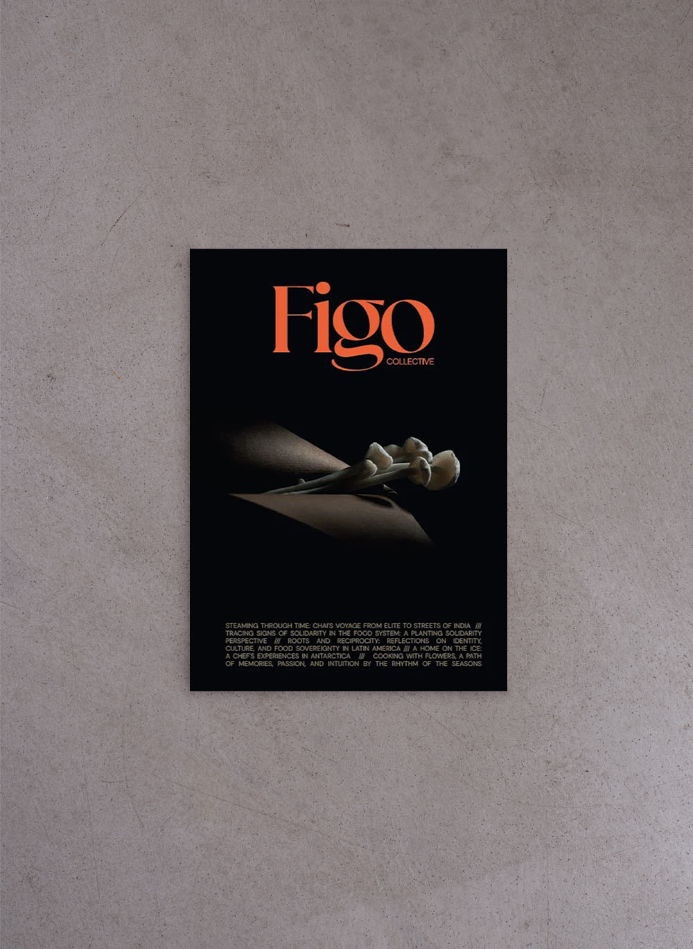 Figo Collective Mag #1