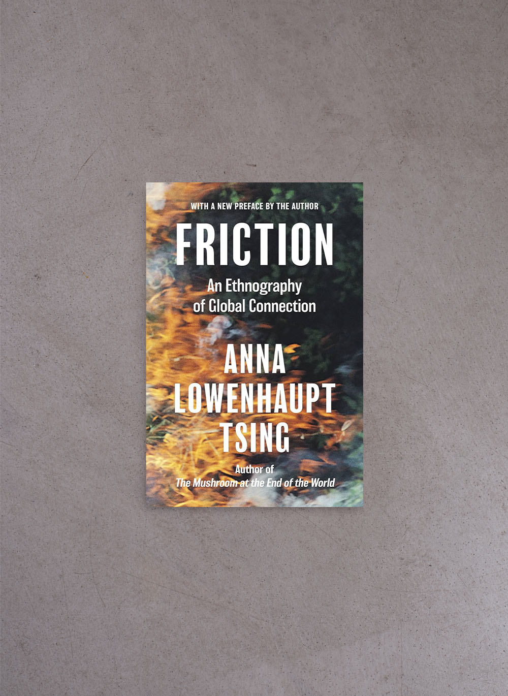 Friction – Anna Lowenhaupt Tsing