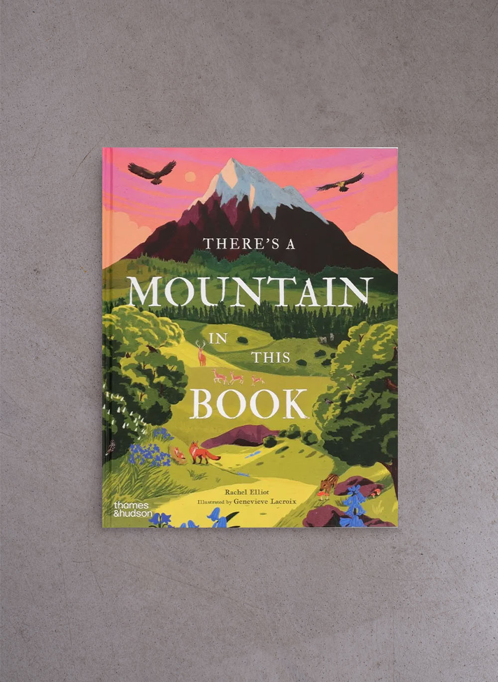 There's a Mountain in This Book – Rachel Elliot