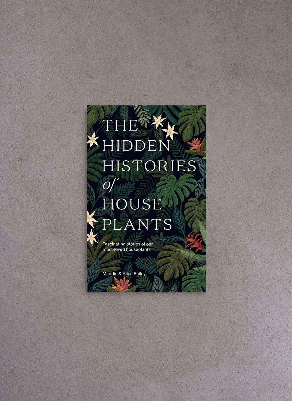 The Hidden Histories of Houseplants – Maddie and Alice Bailey