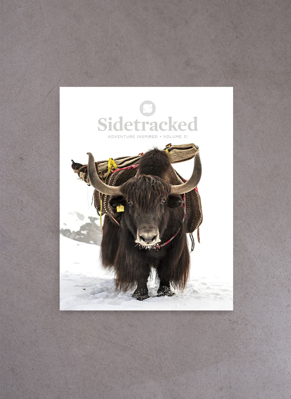 Sidetracked Magazine #31