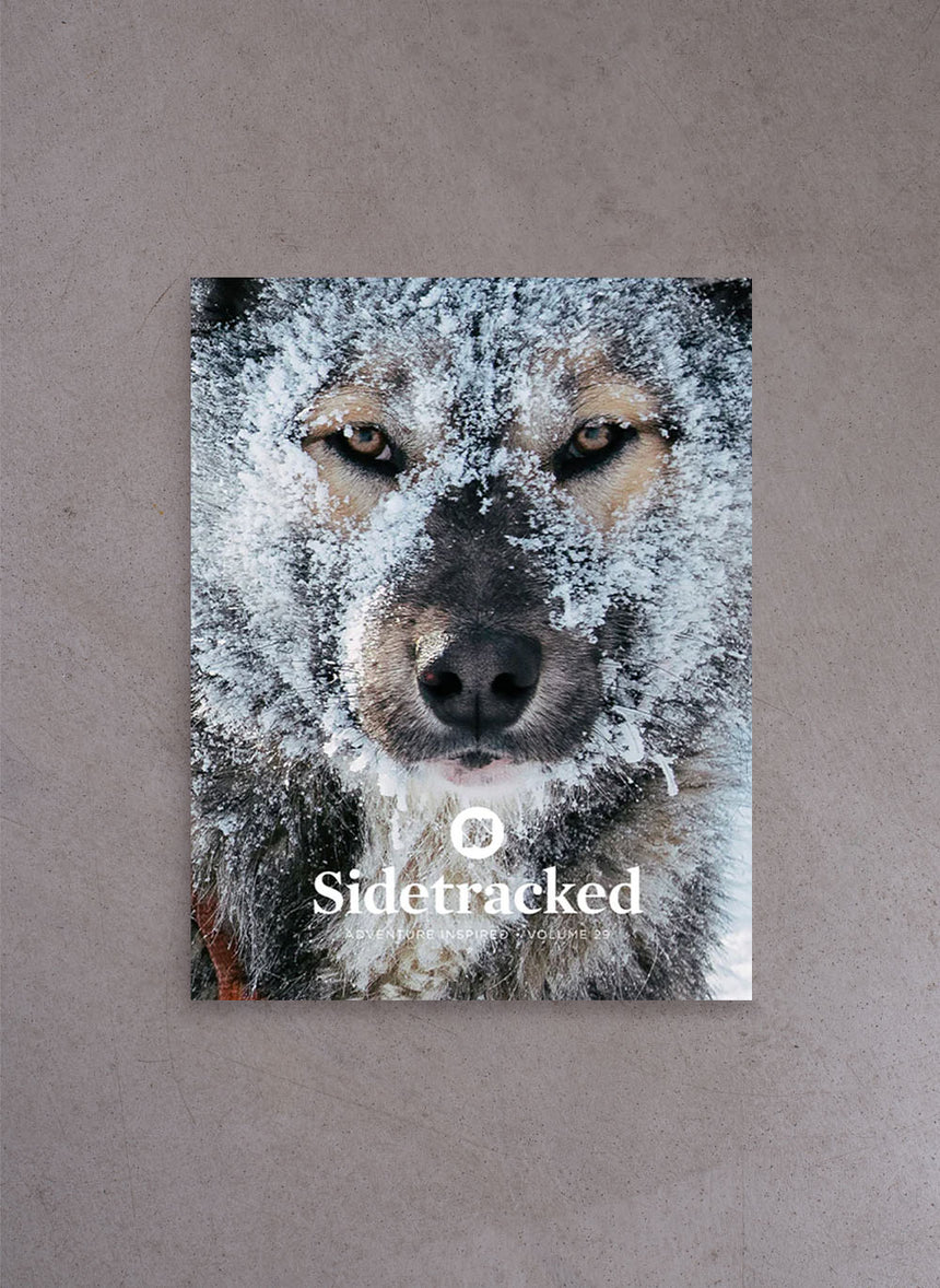 Sidetracked Magazine – Volume 29