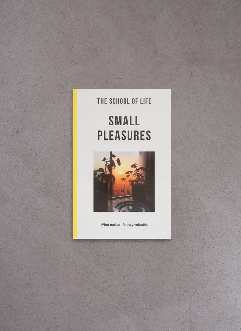 Small Pleasures (Paperback)