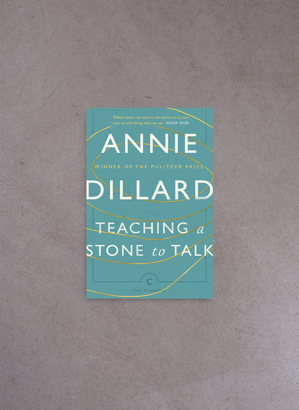 Teaching a Stone to Talk – Annie Dillard