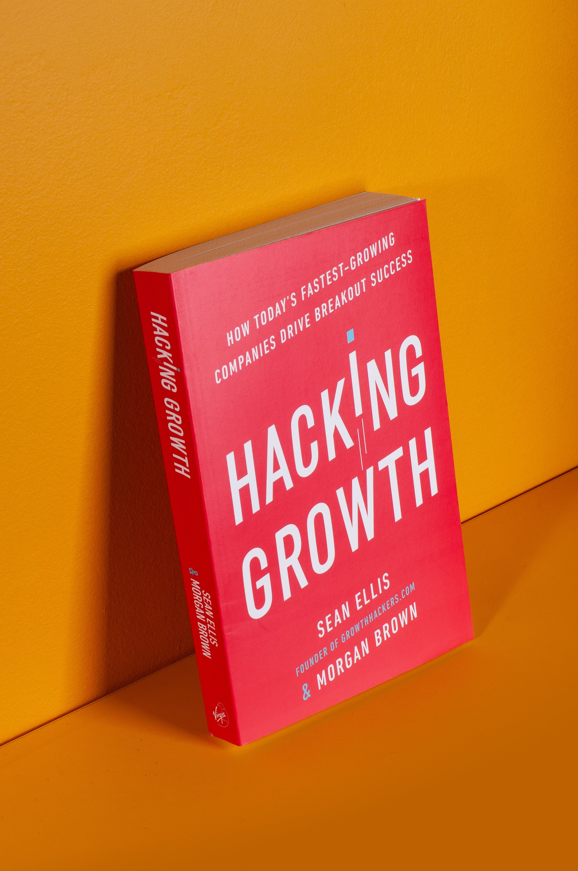 Hacking Growth – Sean Ellis, Morgan Brown