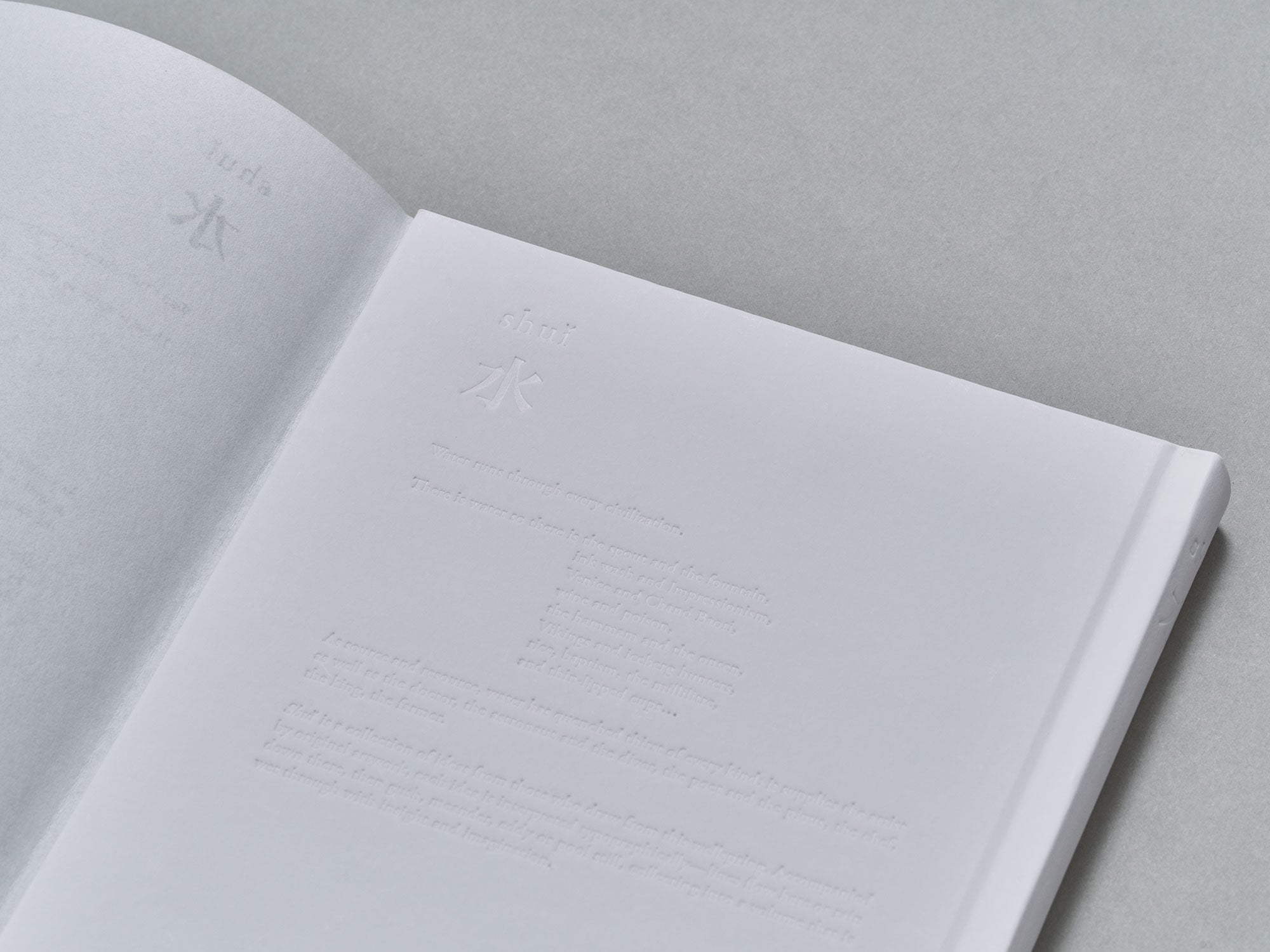 水 shuǐ – illustrated book on water (Bangkok, Thailand)